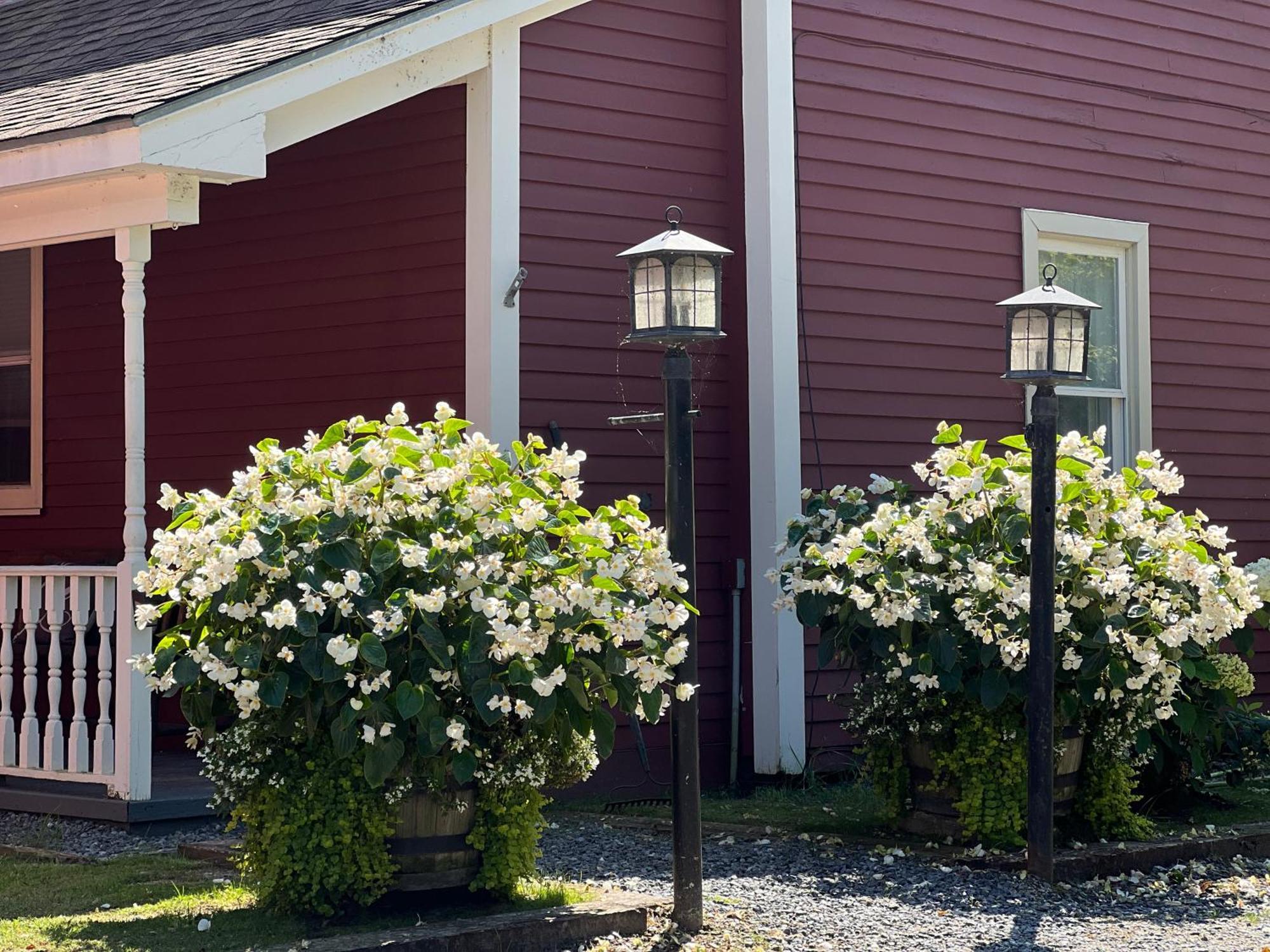The Nutmeg Vermont Wilmington Exterior foto